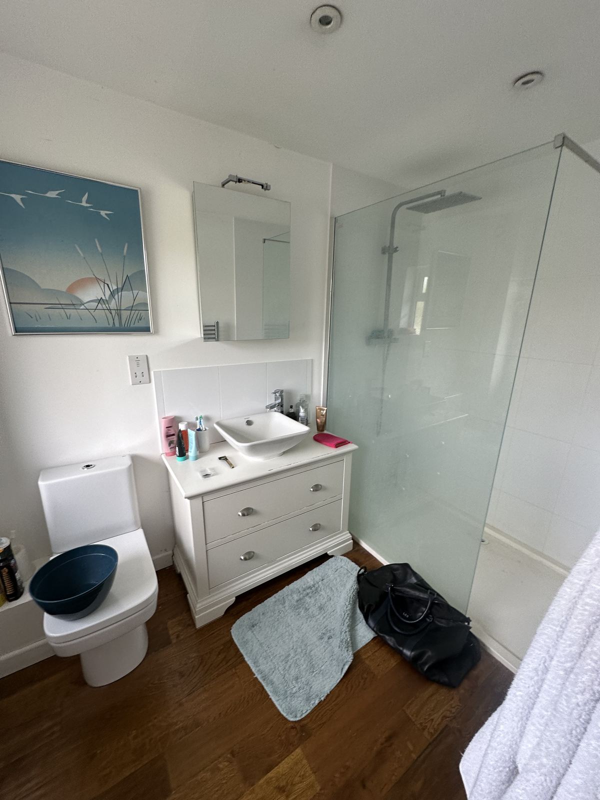 Old layout — A Glow Behind the Glass — Shower Room, Reading