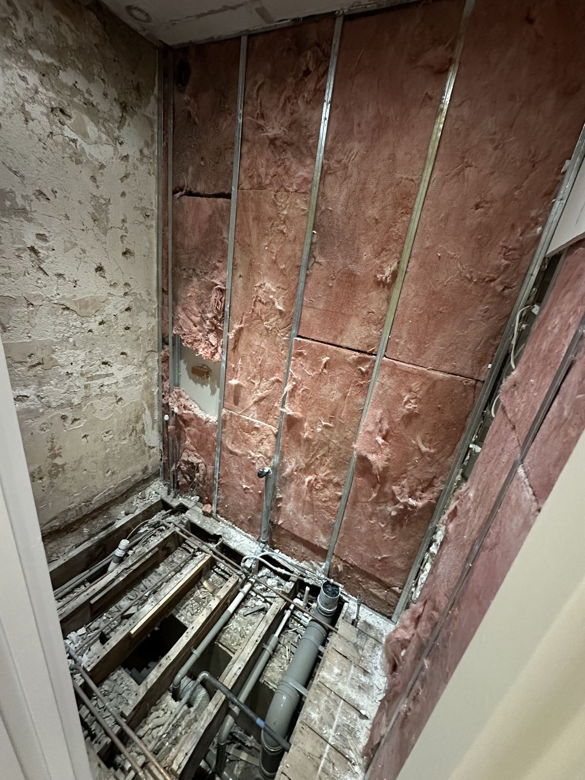 Strip-out — Framed in Black — Shower Room, Fulham