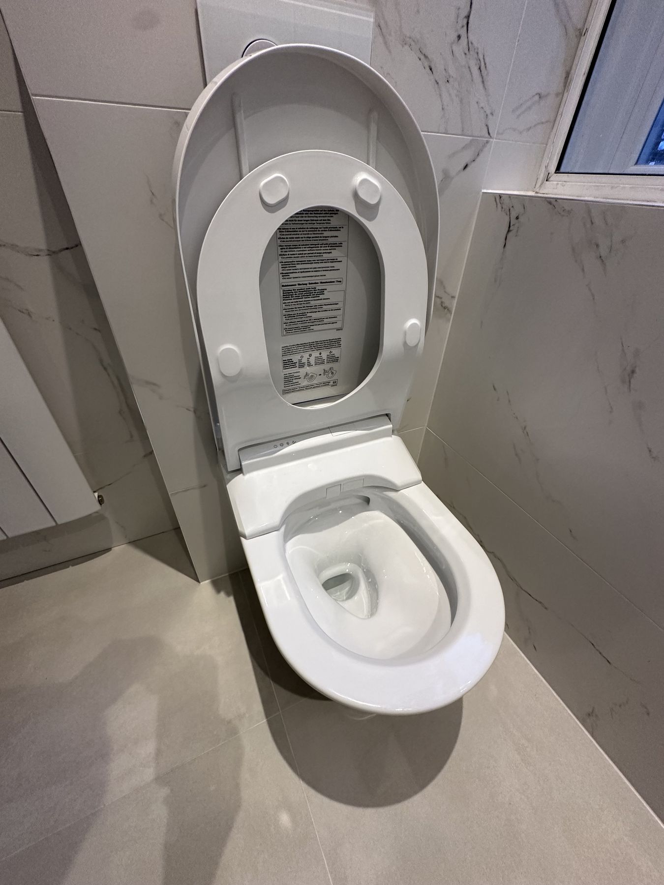Wall-hung toilet